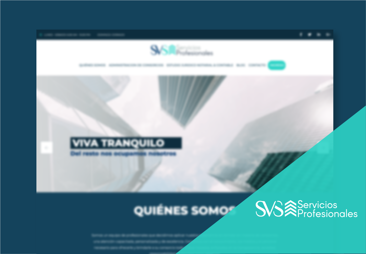 SVS Servicios Profesionales: sitio web con área de clientes