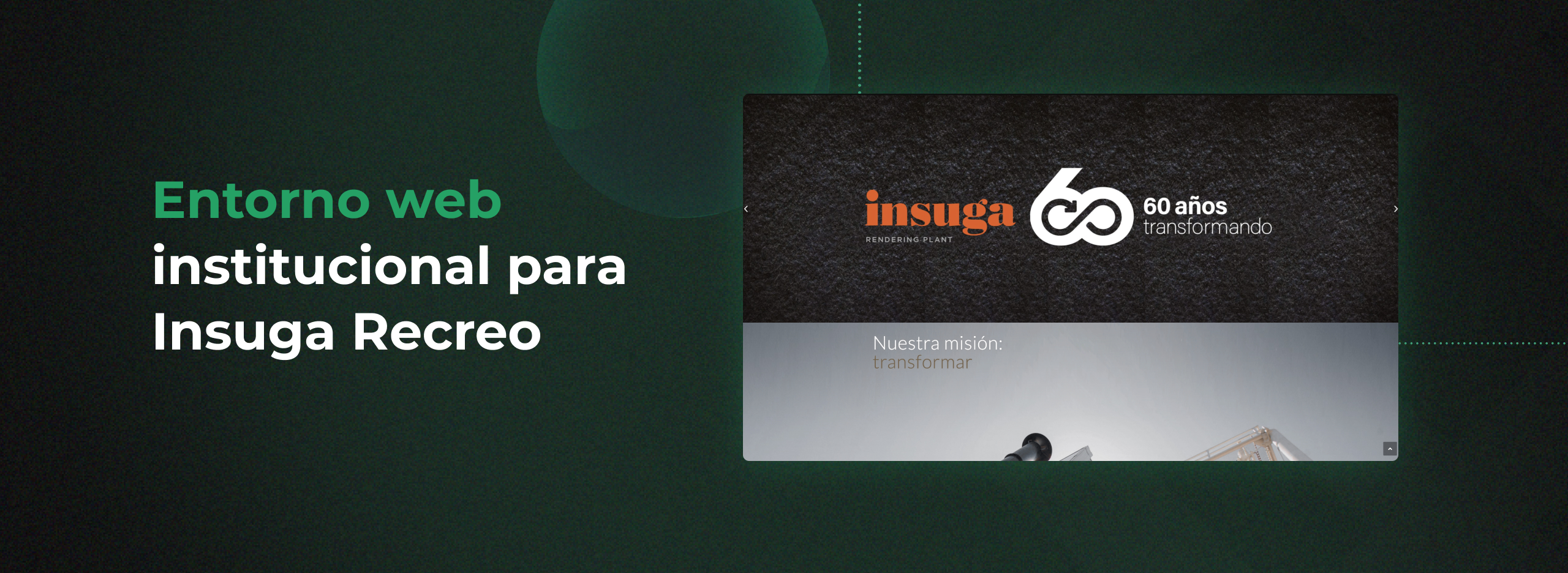 Insuga Recreo: institutional web site