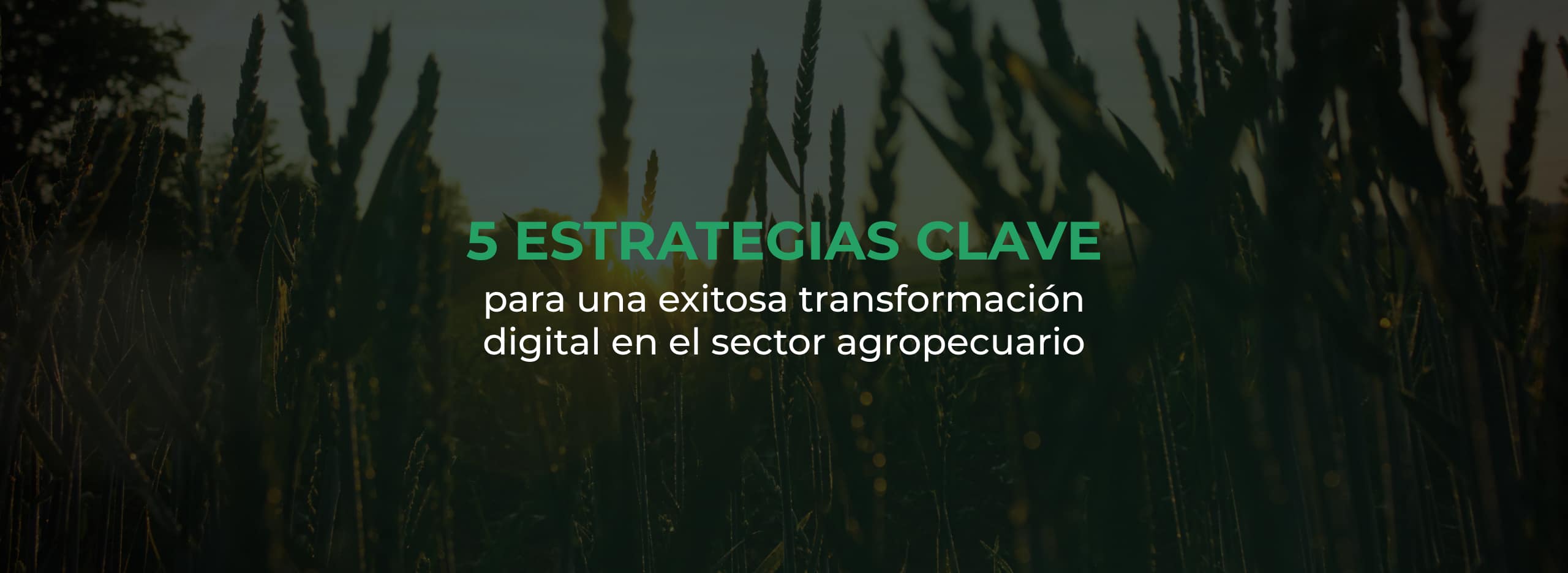 5 estrategias para la transformación digital del sector agropecuario
