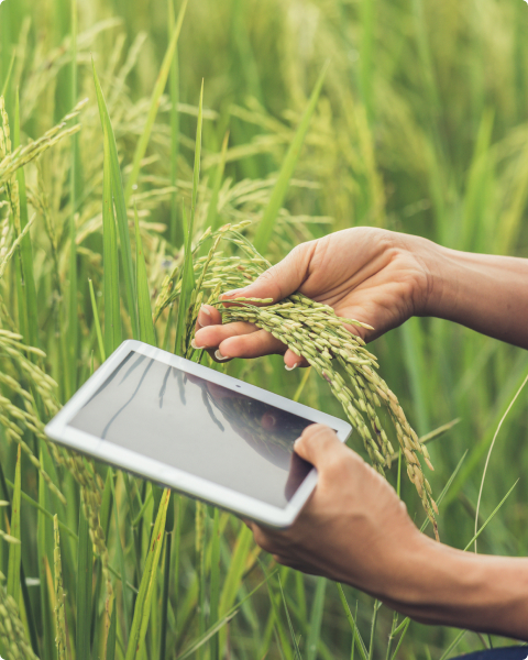 Aapresid: innovación tecnológica para el agro