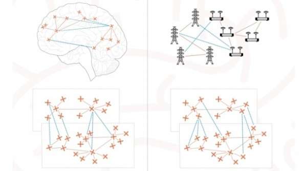 Científicos argentinos logran avances en redes artificiales analizando conexiones cerebrales